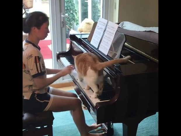 zongora gyakorlás