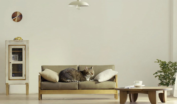 macska bútor ágy heverő