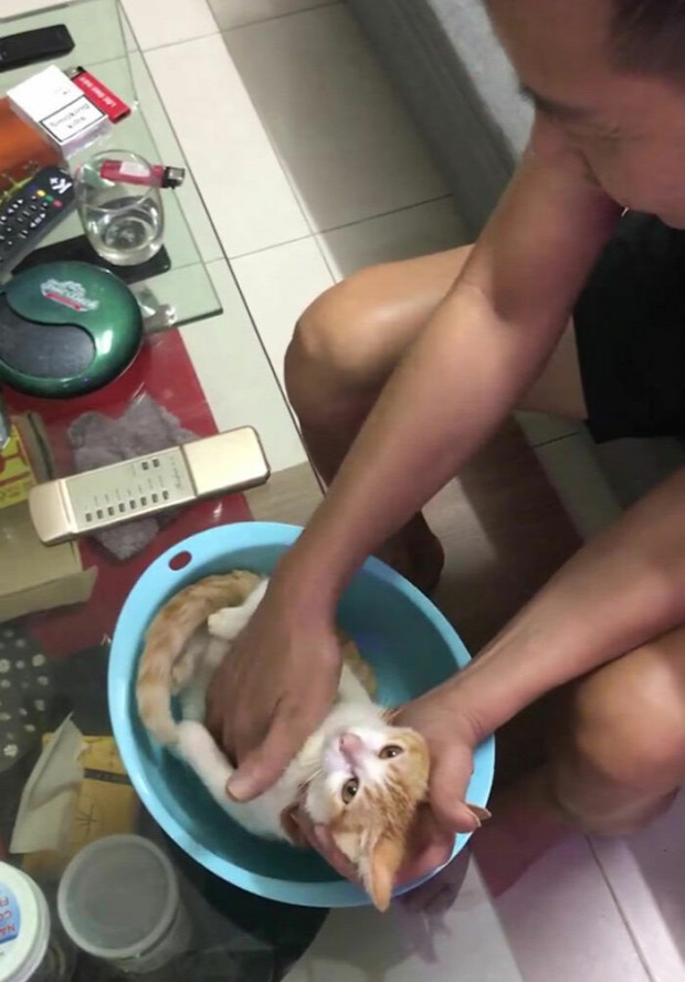 baba cica nagypap fürdetés