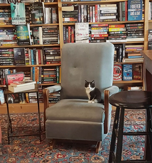 könyvesbolt kávézó