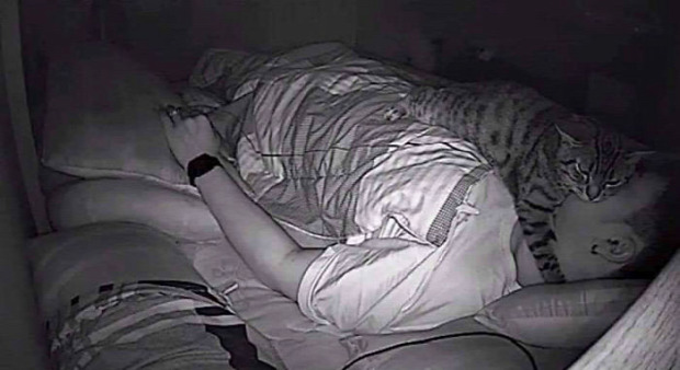 éjszakaű kamera fotó alszik gazdi
