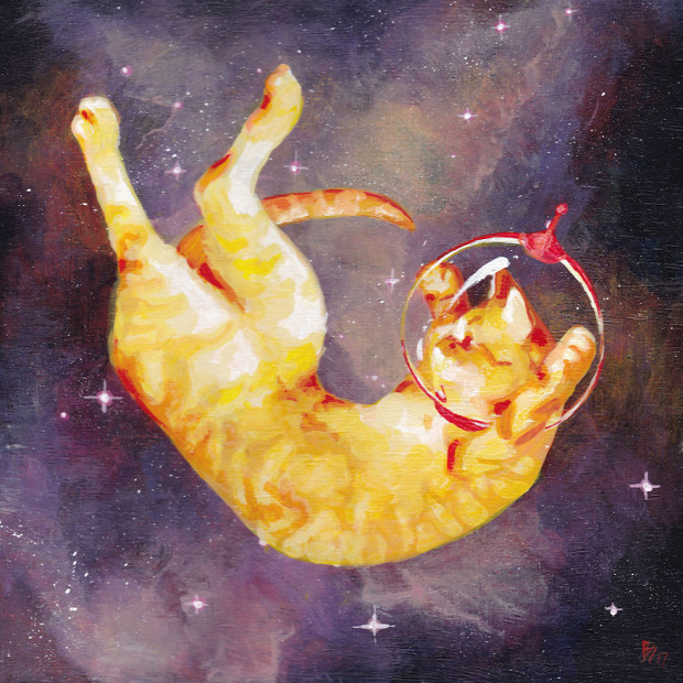 űrhajós űr macska
