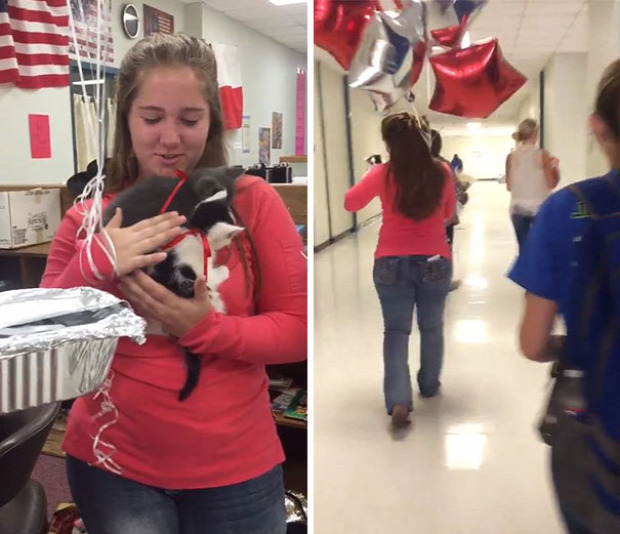 Texas  középiskola tanár ajándék cica