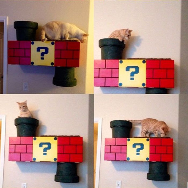 macskafészek játék super mario