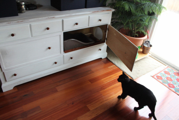 macskavécé szekrény rejtett DIY csináld magad
