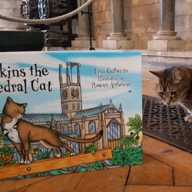 London templomű katedrális macska