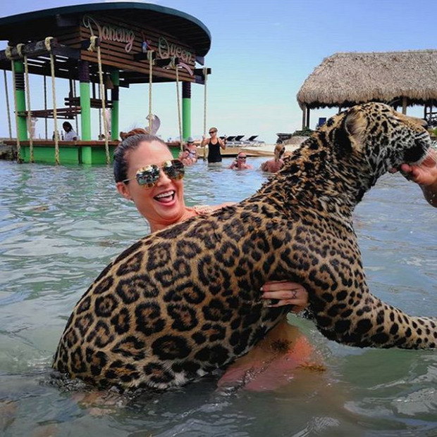 jaguár fürdés