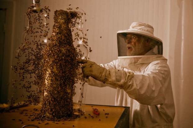 méh lép viasz méz  3D printer