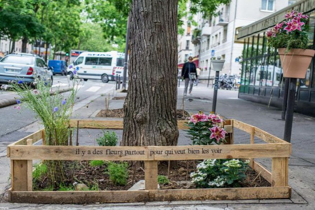 A világ érdekes Párizs rendelet törvény zöld felület kert