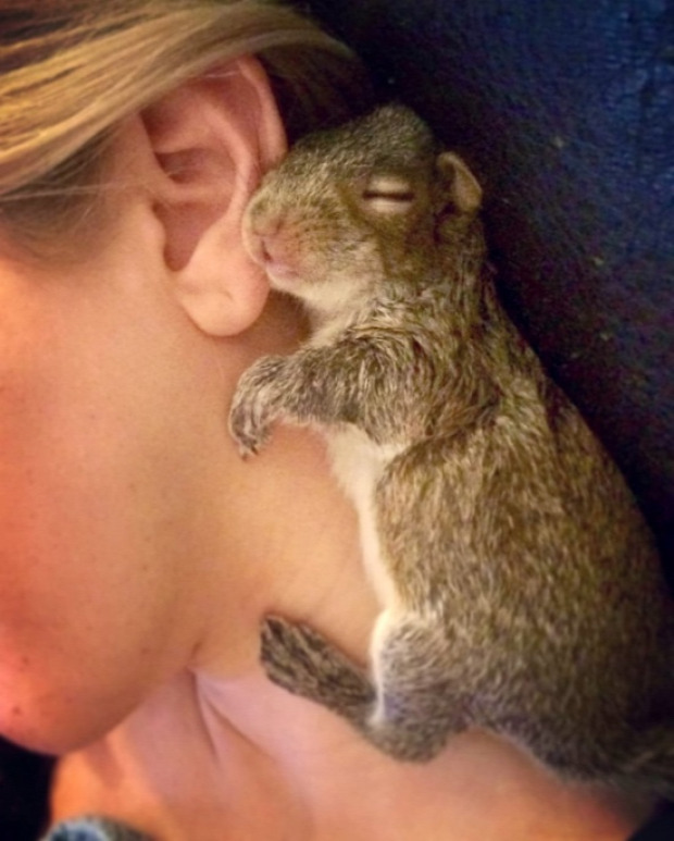 A világ érdekes mókus újszülött