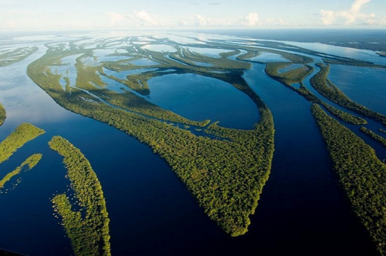 A világ érdekes Rio Negro anavilhanas szigetek áradás esős évszak