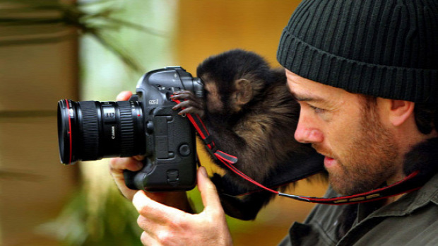 A világ érdekes állat fényképezés
