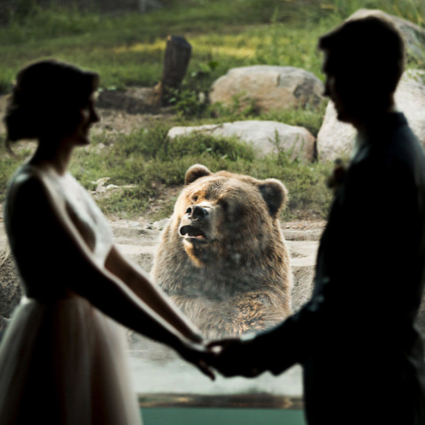 A világ érdekes romantika állat esküvő lánykérés