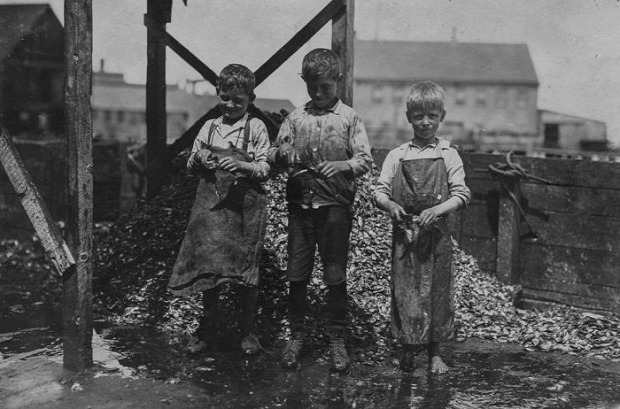 A világ érdekes 1908 gyerkmunka gyár konzerv szardinia