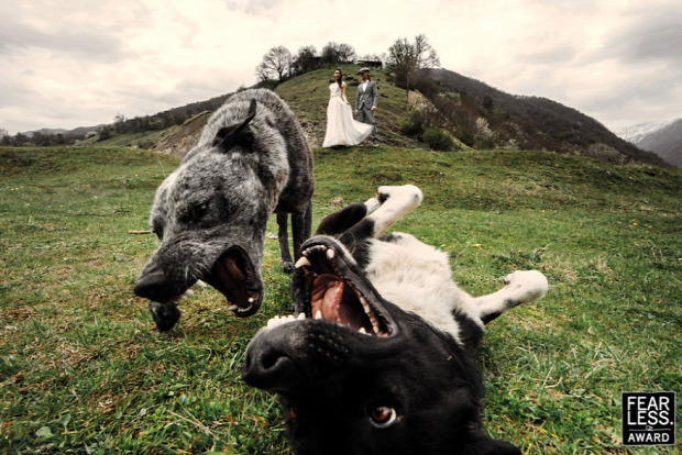 a világ érdekes fotó verseny esküvő