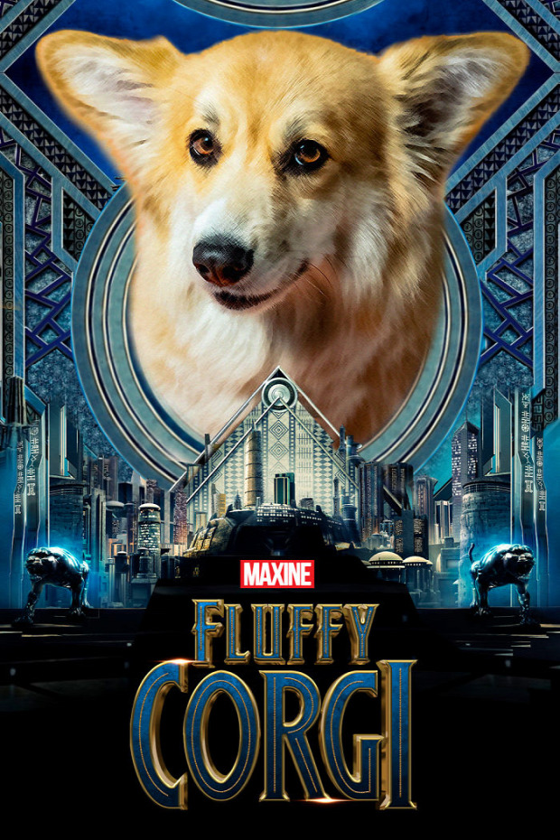 A világ érdekes kutya mozi plakát corgi