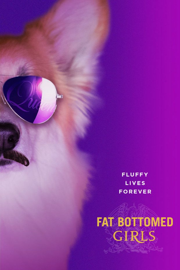 A világ érdekes kutya mozi plakát corgi