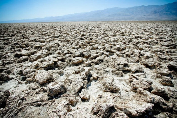 A világ érdekes USA Amerika Halál-völgye Death Valley sivatag virág