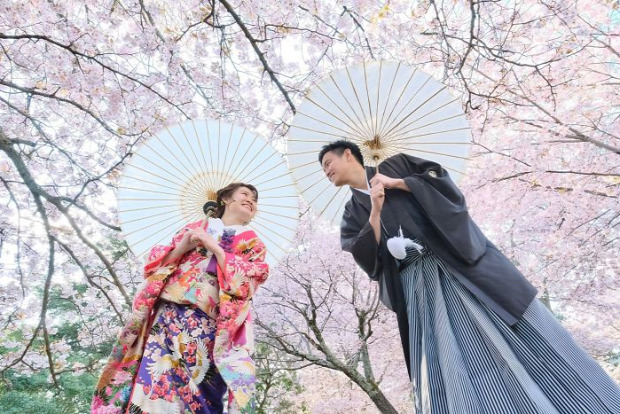 Japán cseresznyevirágzás sika szarvas esküvő