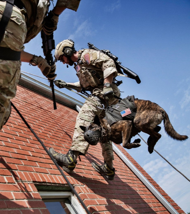 A világ érdekes katona kutya barátság