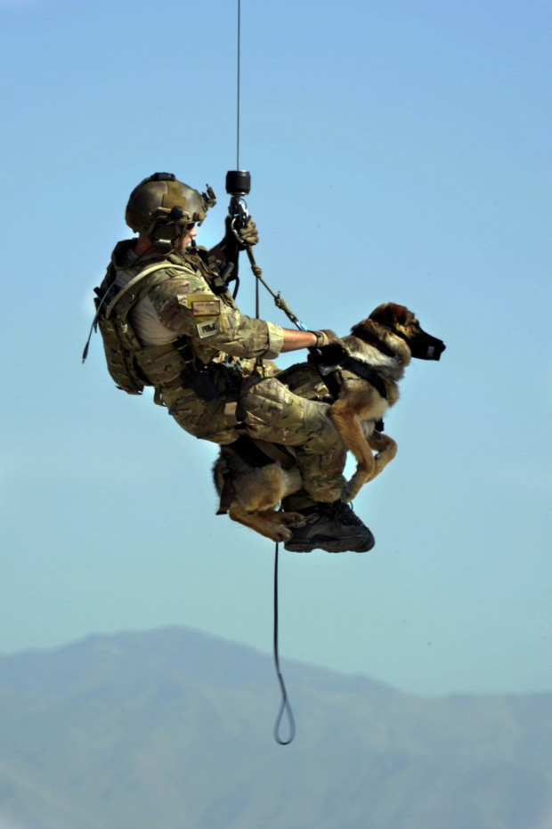 A világ érdekes katona kutya barátság