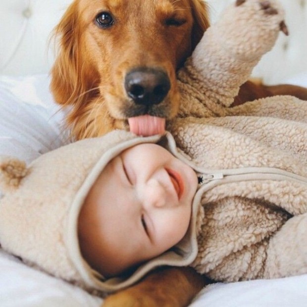 A világ érdekes kutya baba gyerek