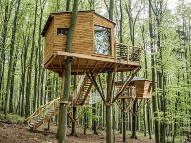 A világ érdekes faház fa ház lomb