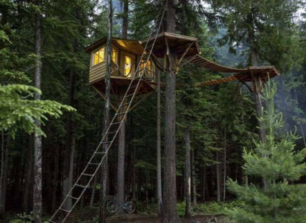 A világ érdekes faház fa ház lomb