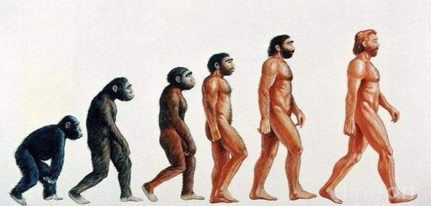ember előd faj ősember neandervölgyi gyeniszovai