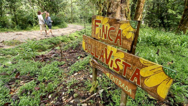 A világ érdekes Costa Rica őserdő dzsungel faház