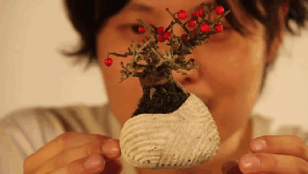 Kütyülógia lebegő bonsai