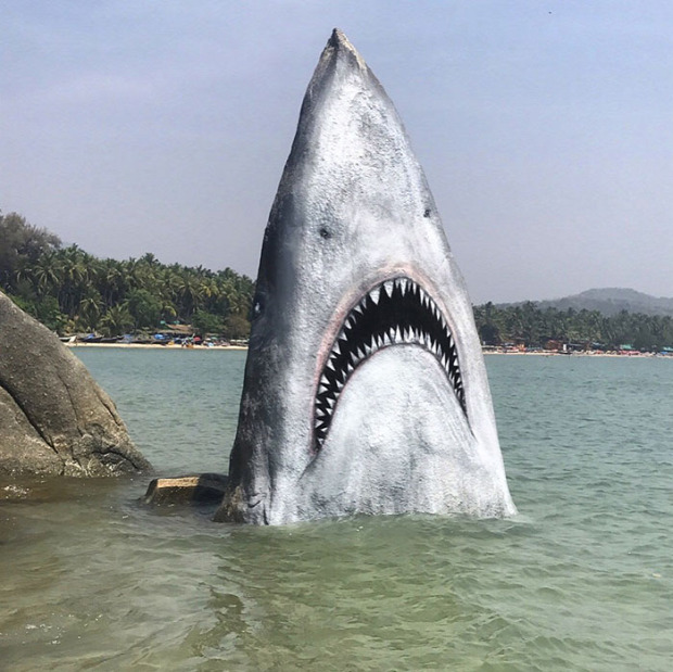 A világ érdekes India Goa szika cápa graffiti