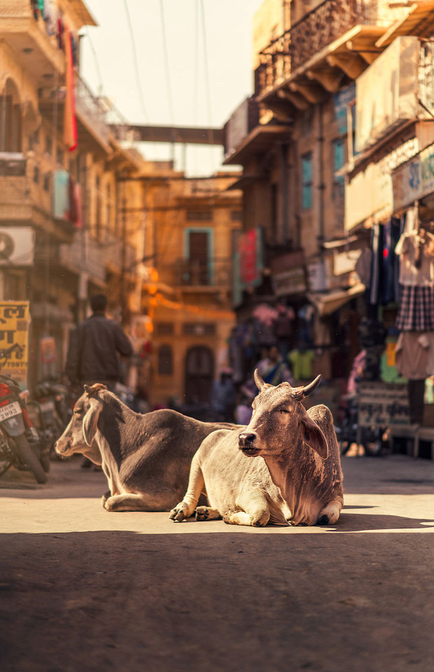 A világ érdekes sikátor szűk utca Dél-Ázsia Ázsia India Bangladesh Nepál