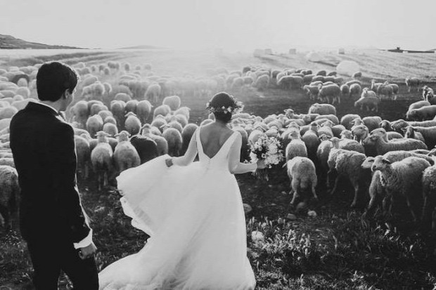 A világ érdekes esküvő fotó fénykép legjobb 2015