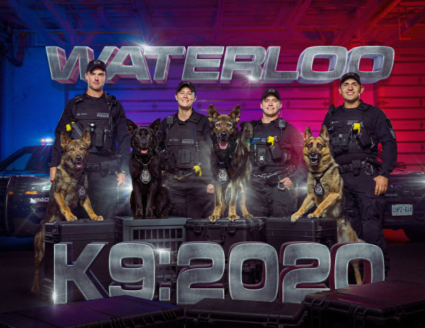 A világ érdekes rendőrség naptár kutya rendőrkutya K9