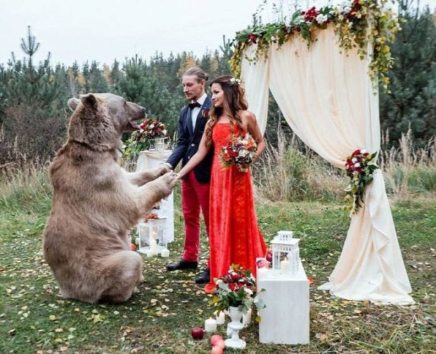 A világ érdekes Oroszország Szibéria esküvő medve
