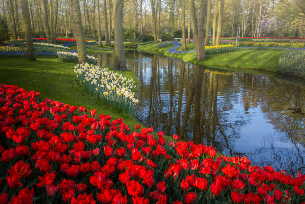 Hollandia  Keukenhof  park virág járvány ember