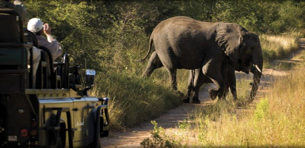 A világ érdekes Dél-Afrika Krüger Nemzeti Park Lion Sands Game Reserve szállás  luxus