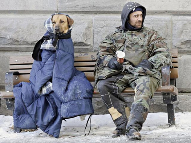 A világ érdekes kutya legjobb  barát hajléktalan