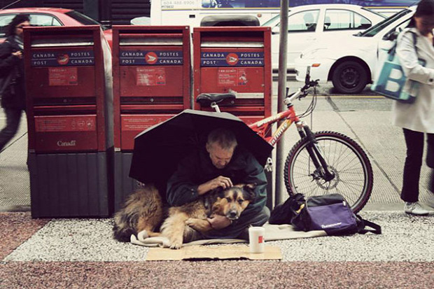 A világ érdekes kutya legjobb  barát hajléktalan