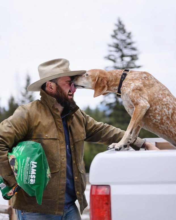 maddie mosomedvekopó fotós utazó kutya