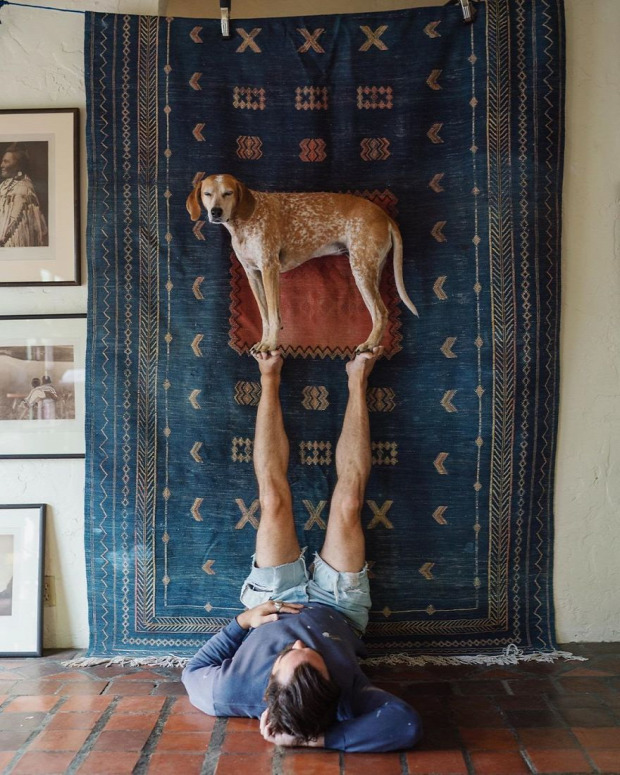 maddie mosomedvekopó fotós utazó kutya