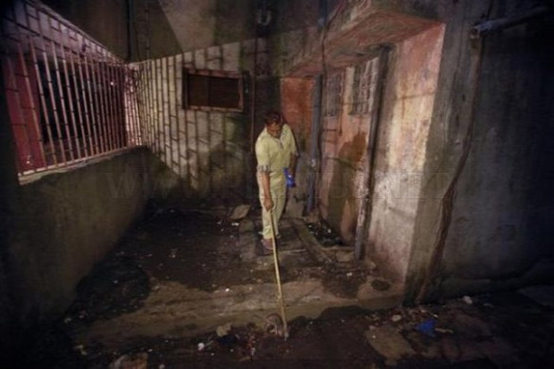 munka India Mumbai patkányfogó