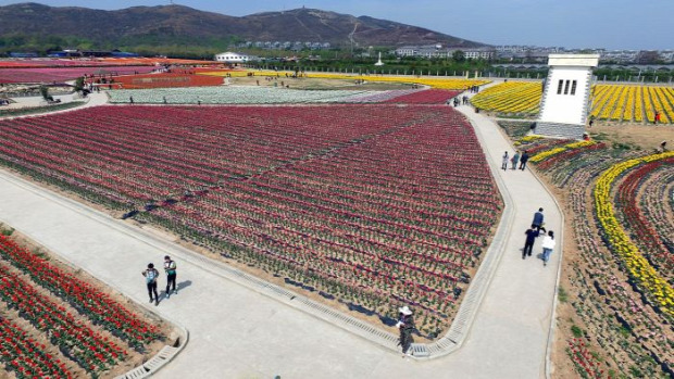 A világ érdekes Kína Wuhan Dongxihu park tulipán