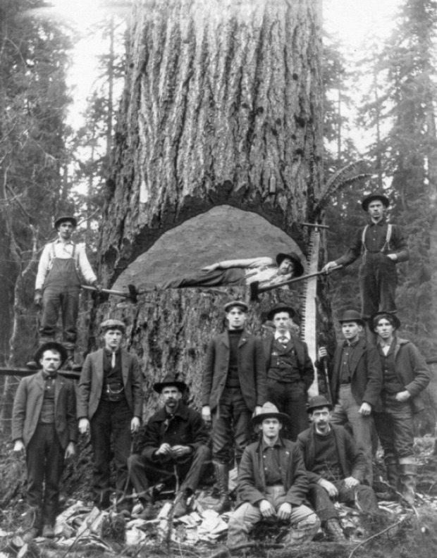 A világ érdekes Amerika USA favágok XIX. század XX. század