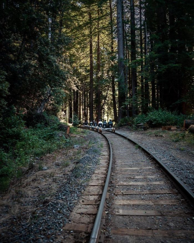 kalifornai kirándulás vasút vasútvonal erdő hajtány mamutfenyő