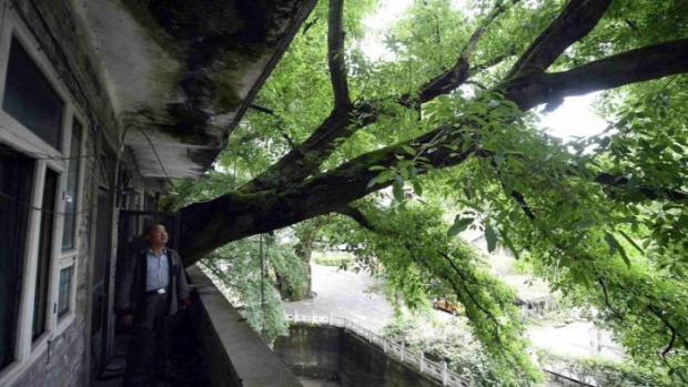 A világ érdekes ház fa 400 éves Kína