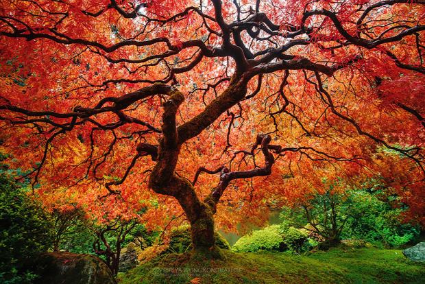 A világ érdekes ősz vidék színek természet