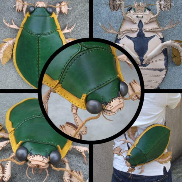 A világ érdekes táska élőlény bogár