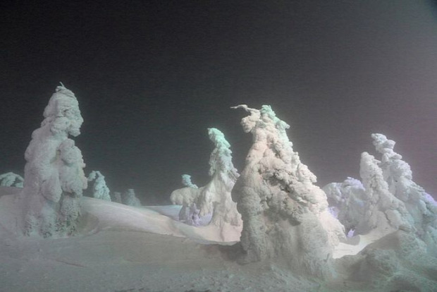 A világ érdekes Japán hó szobor szörny fa